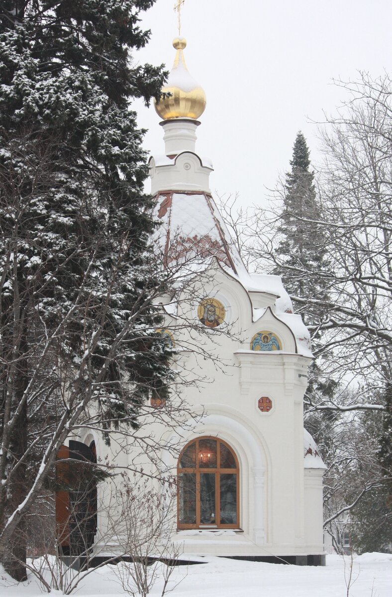 IMG_7481.JPG