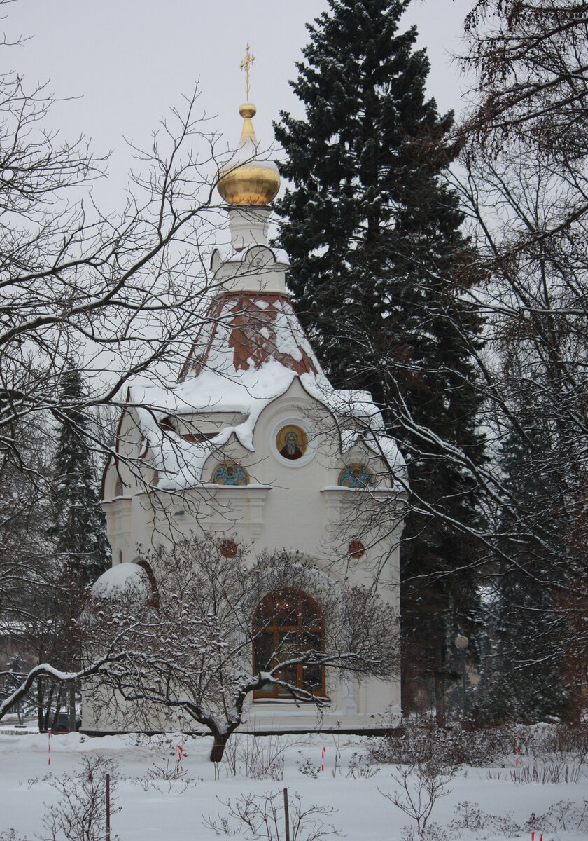 IMG_7486.JPG