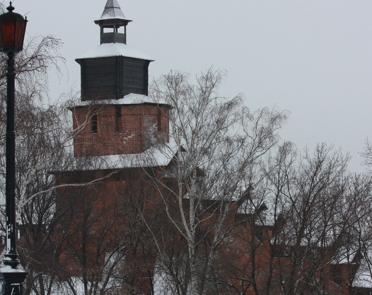 IMG_7513.JPG