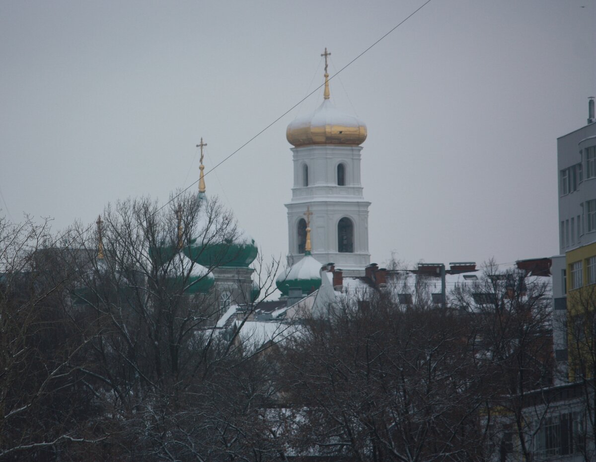 IMG_7529.JPG