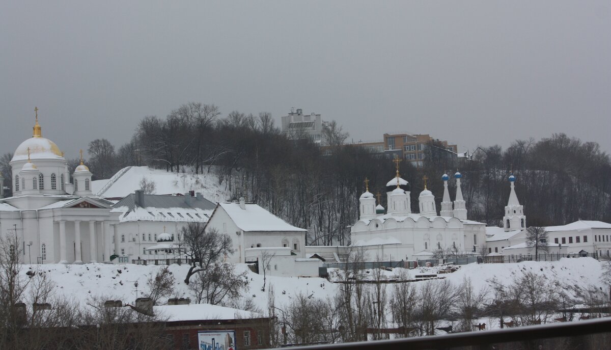 IMG_7564.JPG