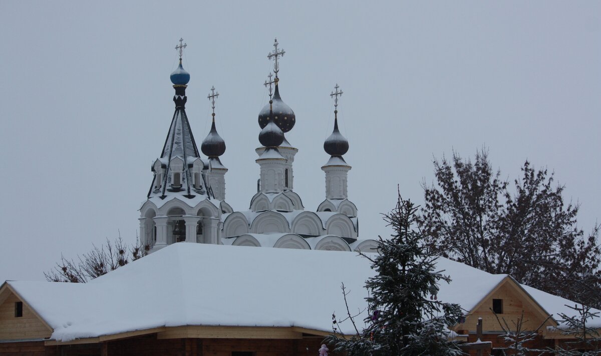 IMG_7695.JPG