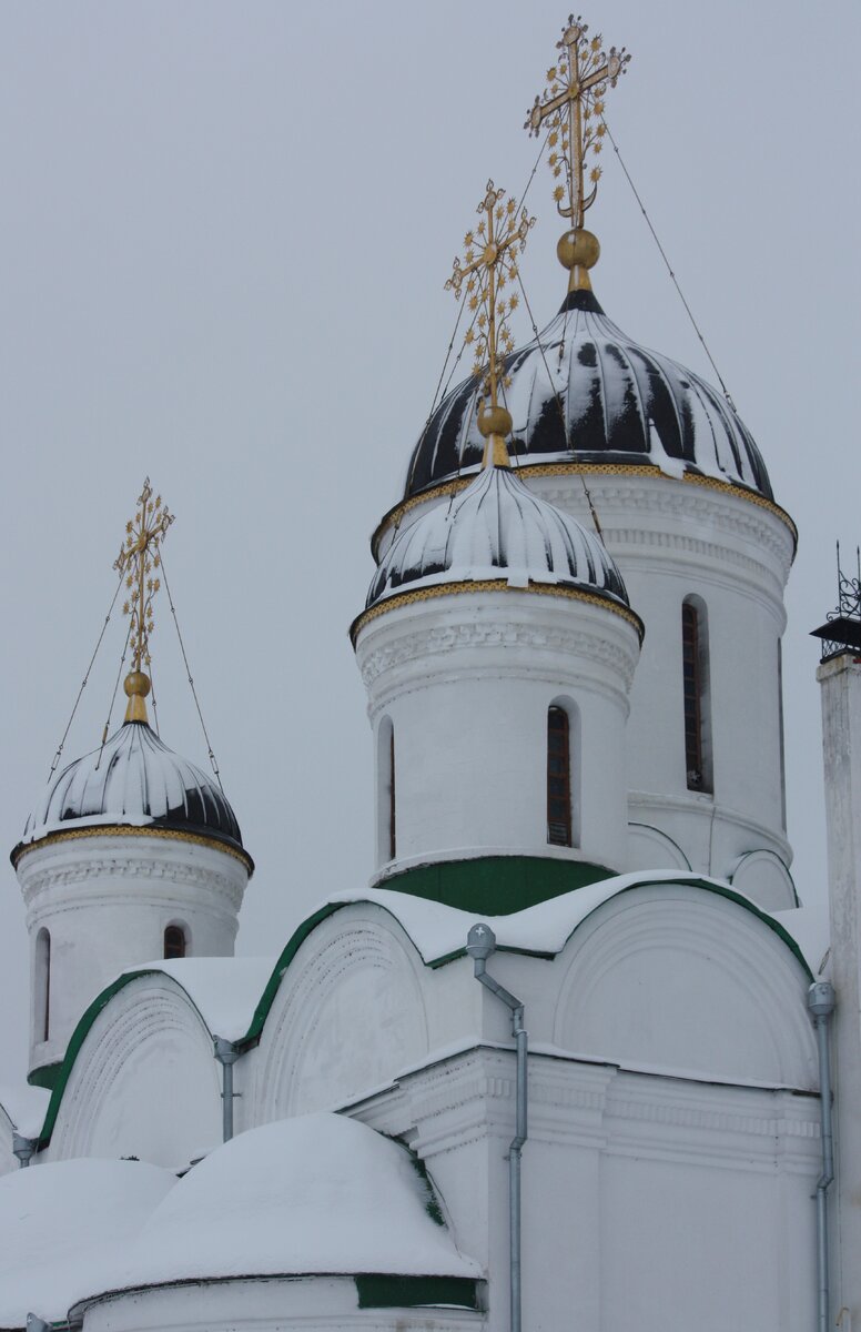 IMG_7733.JPG