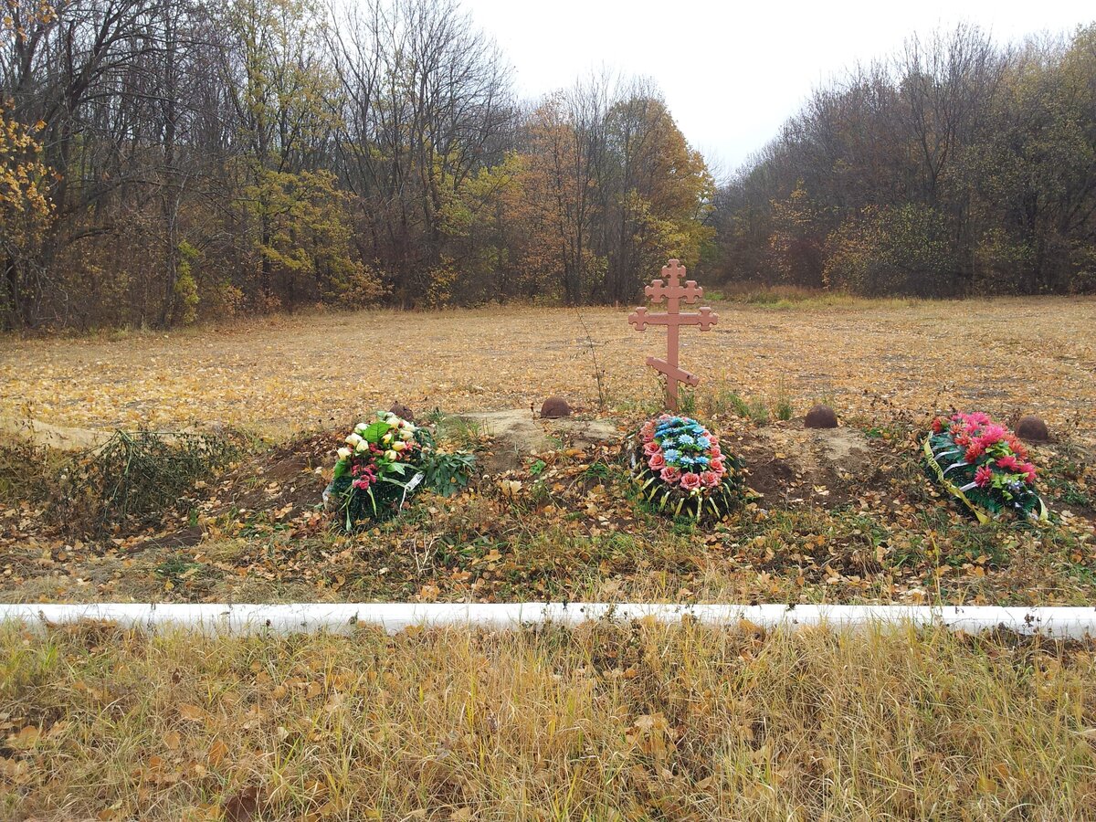 20151103_114532.jpg