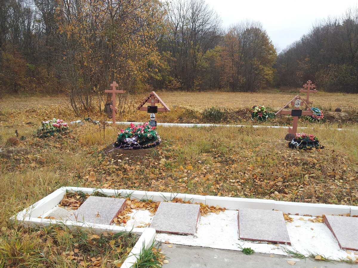 20151103_114640.jpg