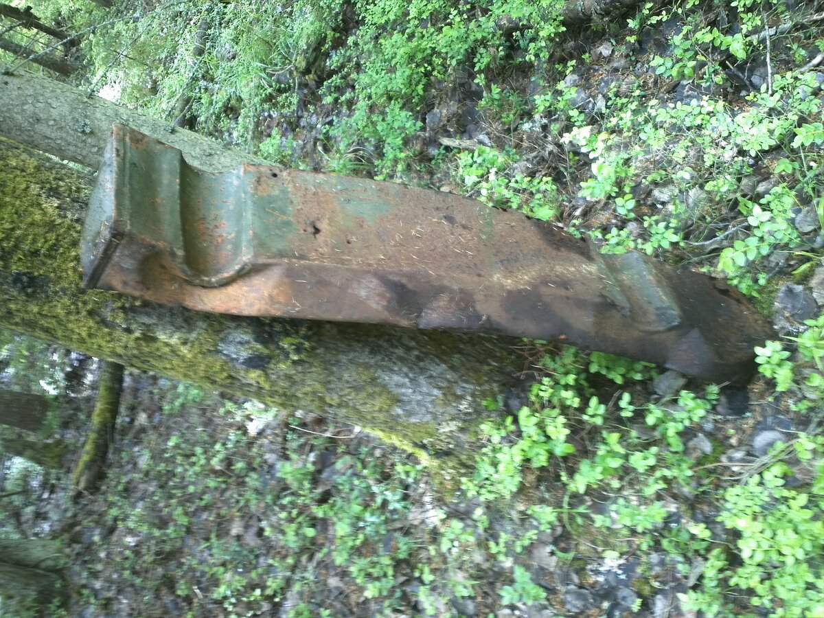 IMG230.jpg