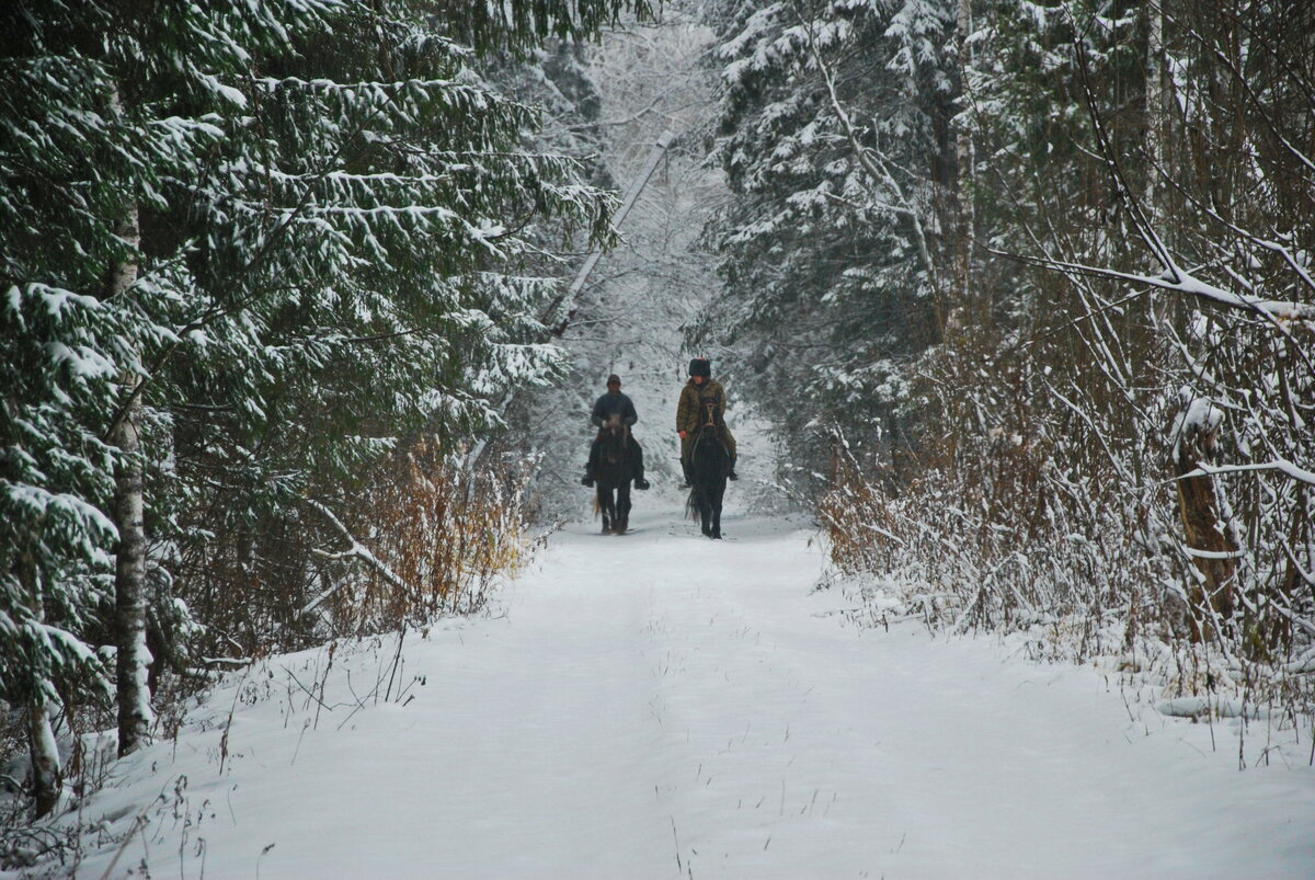 DSC_0003-.JPG