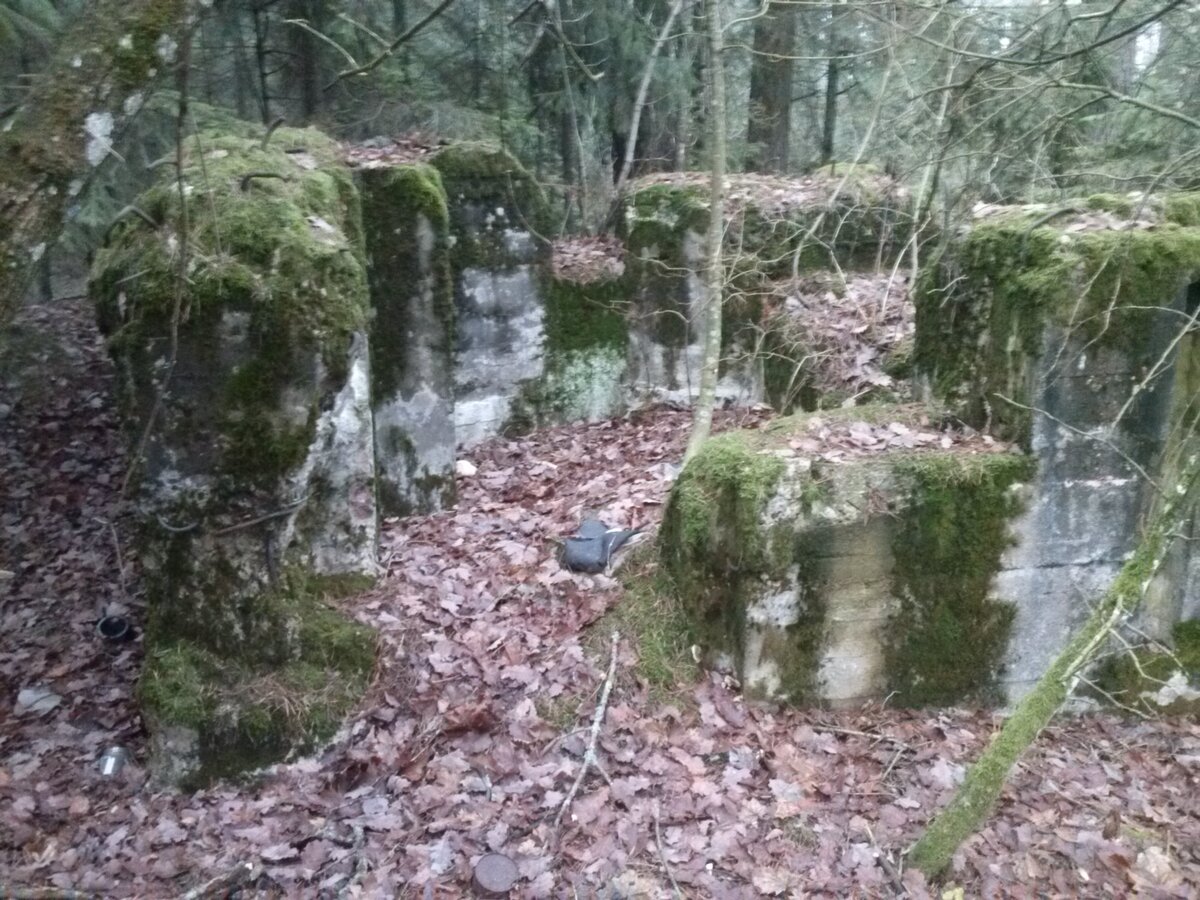CAM01868.jpg