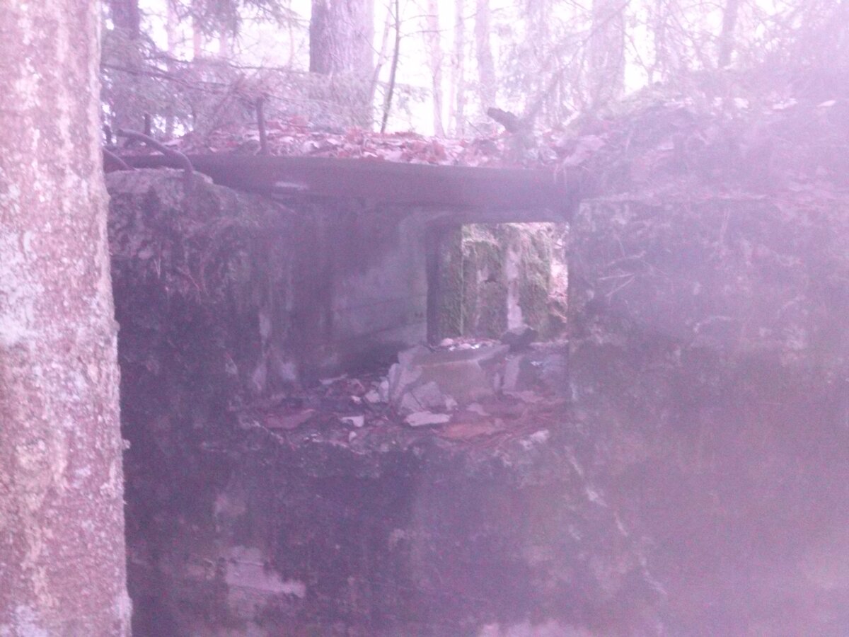 CAM01871.jpg