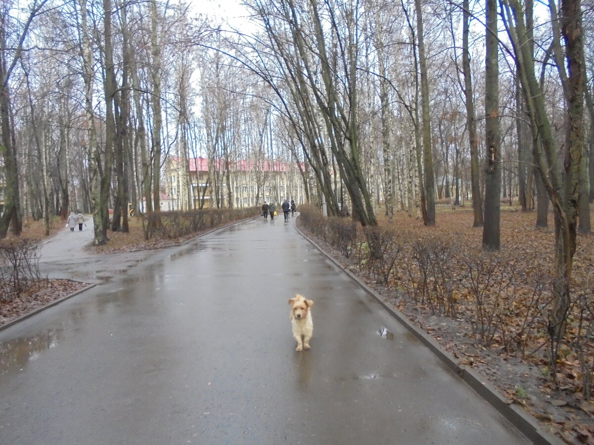 DSC00030.JPG