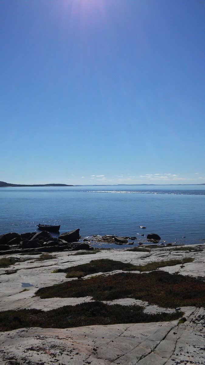 20150818_132631.jpg