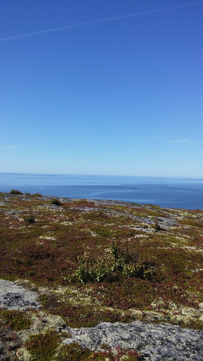 20150818_133802.jpg