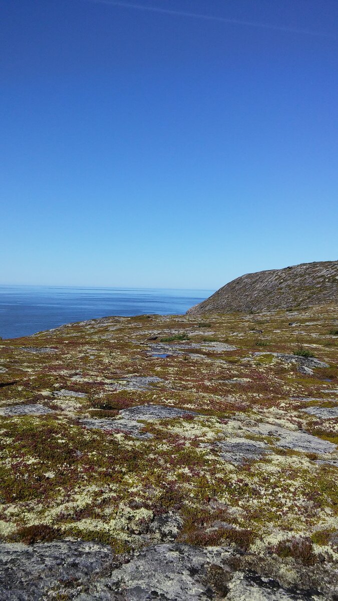 20150818_133810.jpg