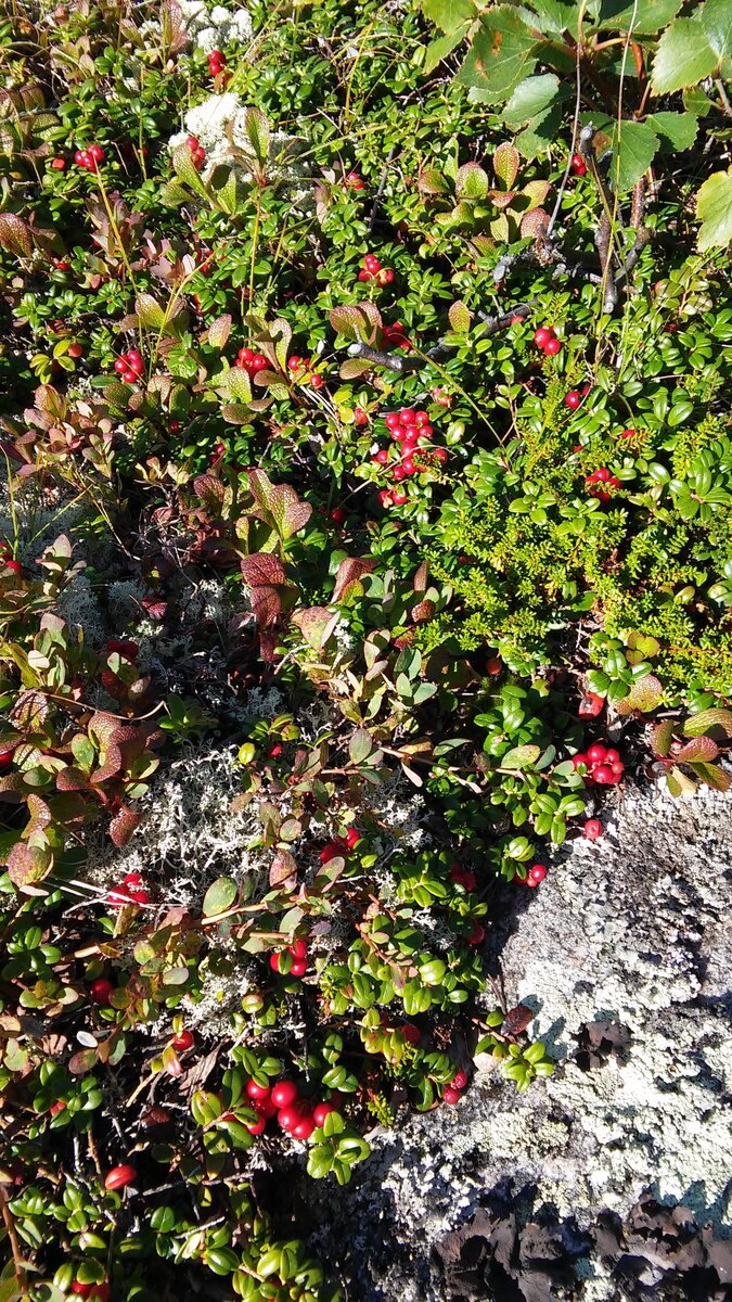 20150818_135503.jpg