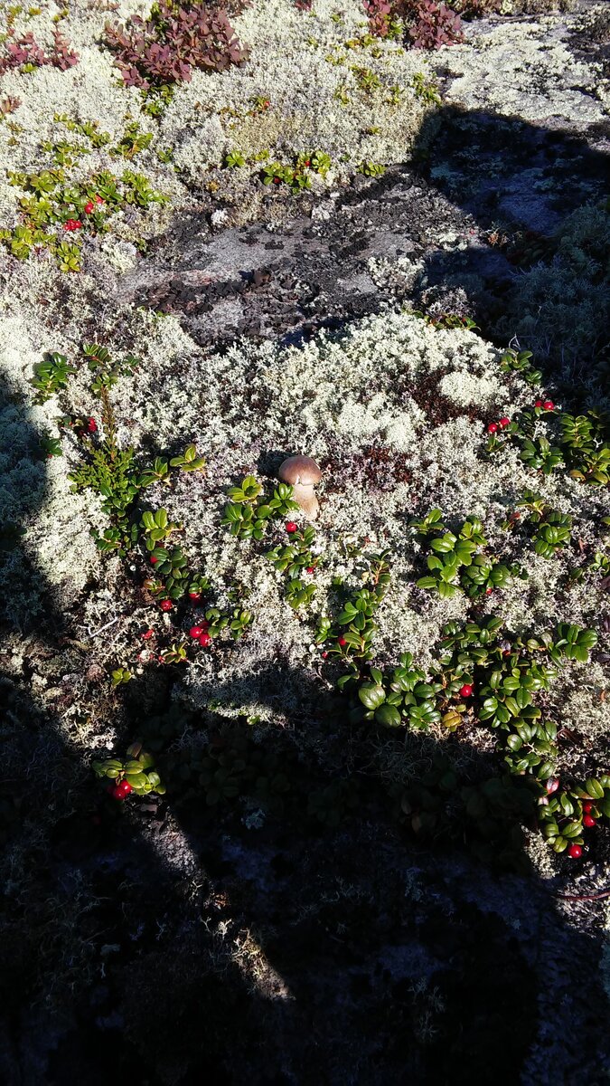 20150818_135729.jpg