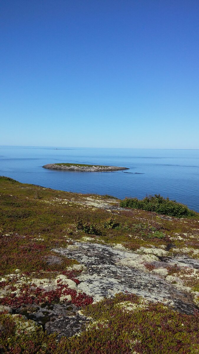 20150818_135756.jpg