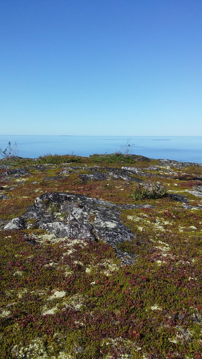 20150818_140316.jpg