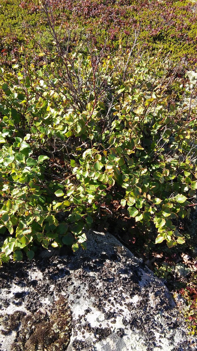 20150818_140403.jpg