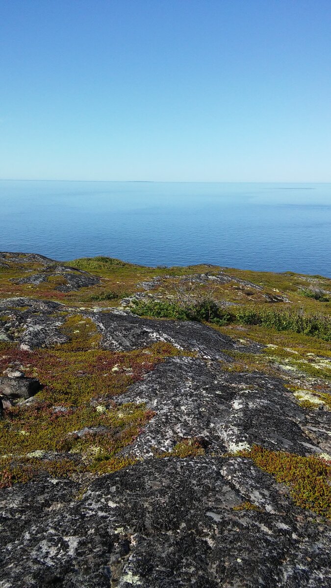 20150818_140626.jpg
