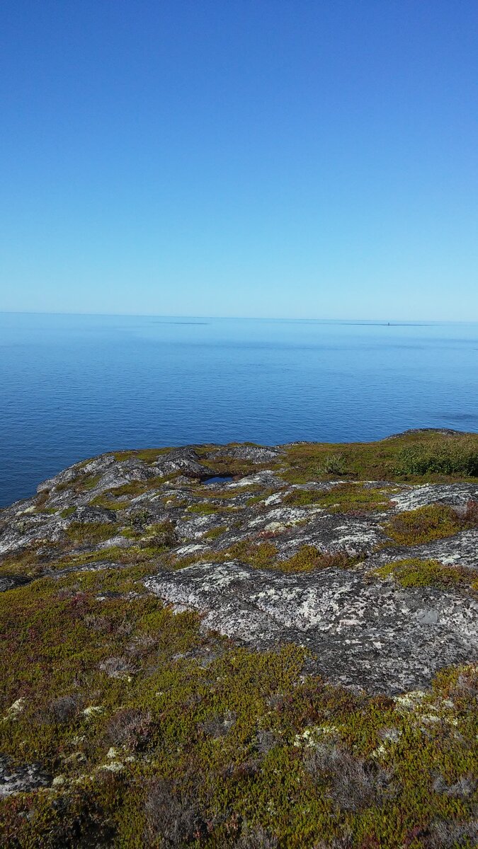20150818_140930.jpg