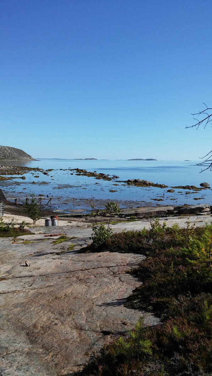 20150818_143057.jpg