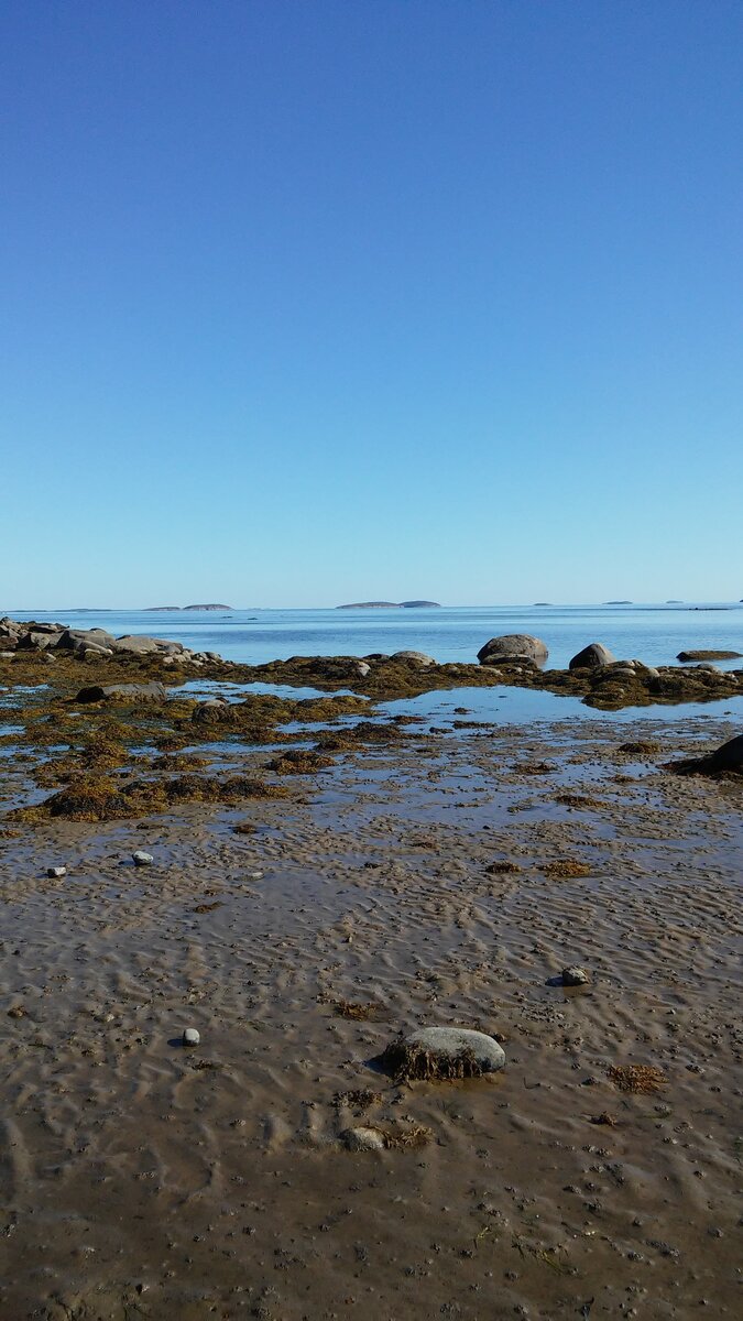 20150818_151903.jpg