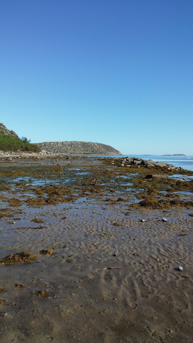 20150818_151910.jpg