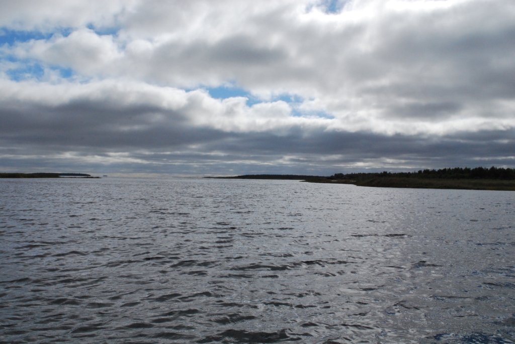 DSC_0010.JPG