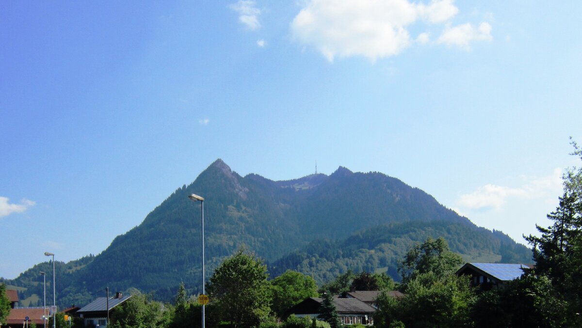 IMG_1238.jpg
