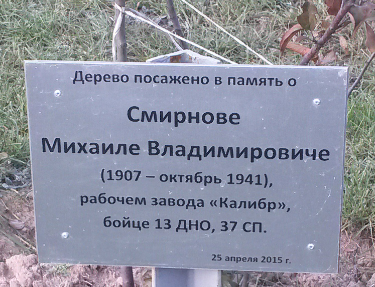46.jpg