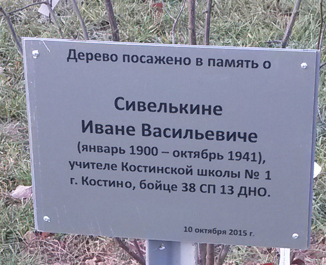 47.jpg