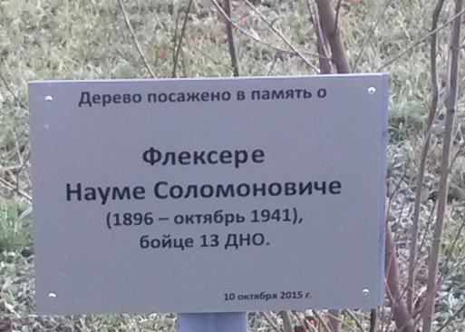 48.jpg