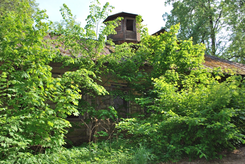 DSC_0271.JPG
