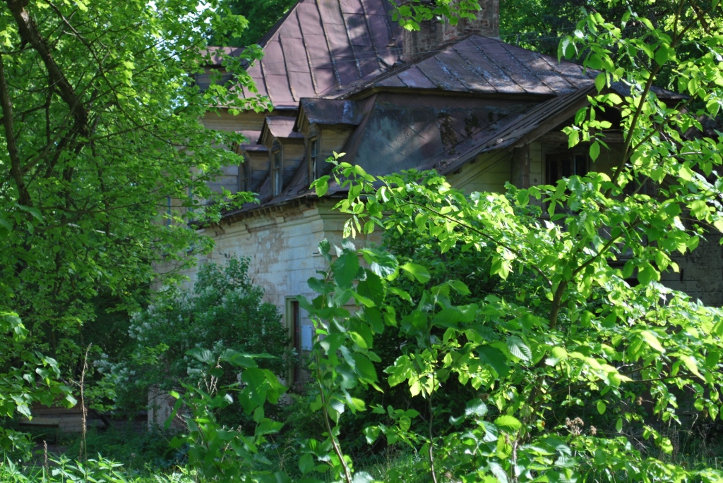 DSC_0276.JPG
