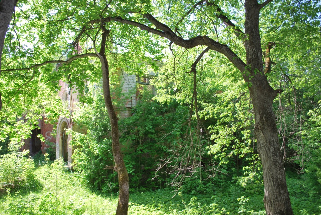 DSC_0301.JPG
