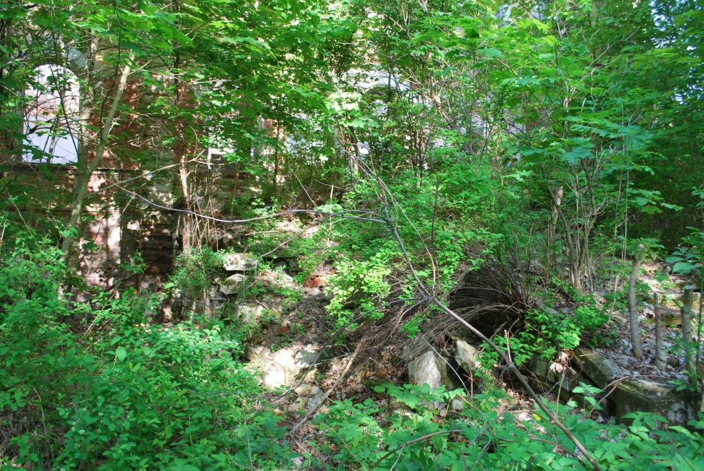 DSC_0414.JPG