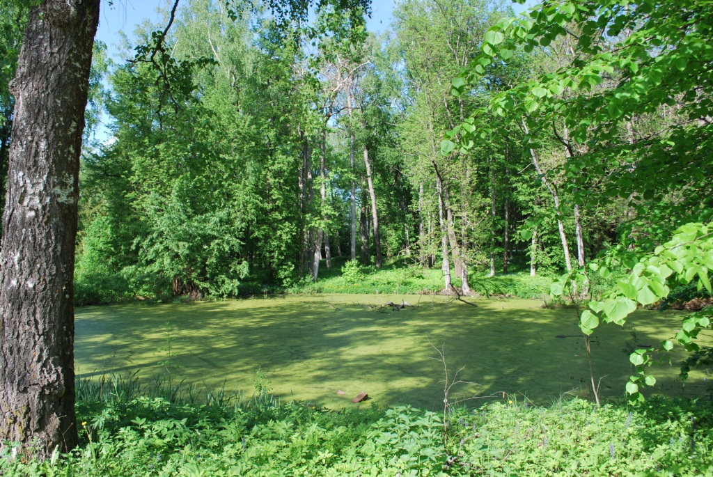 DSC_0358.JPG