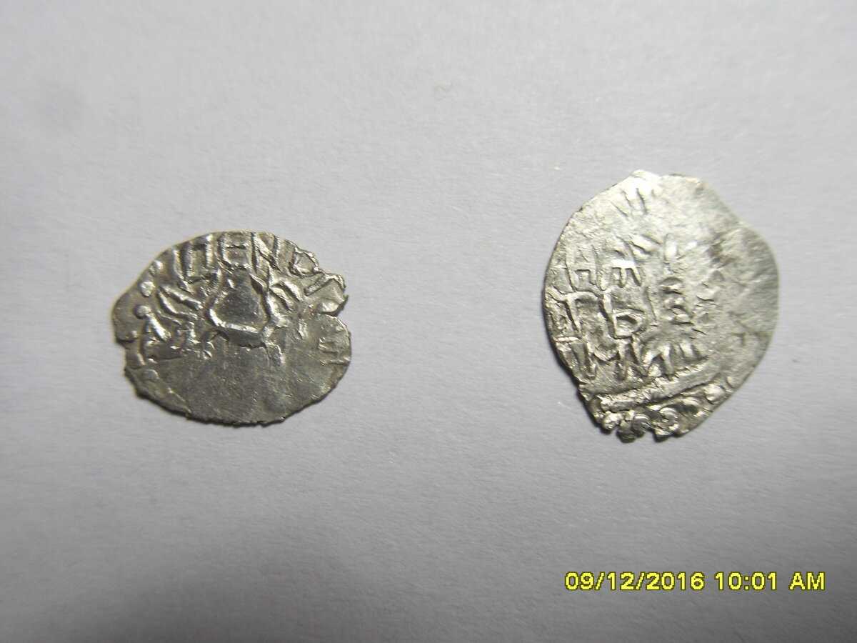 SDC10744.JPG