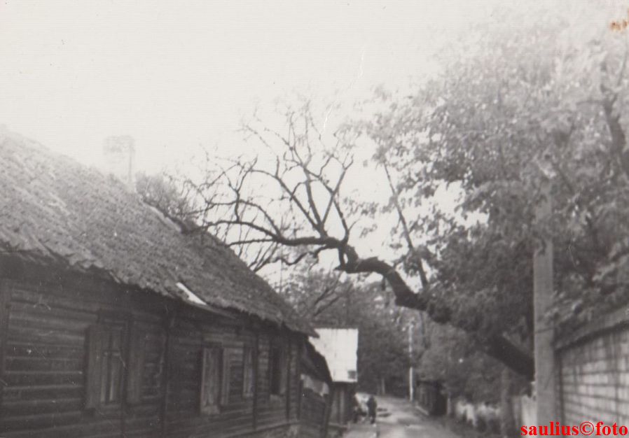 05.jpg