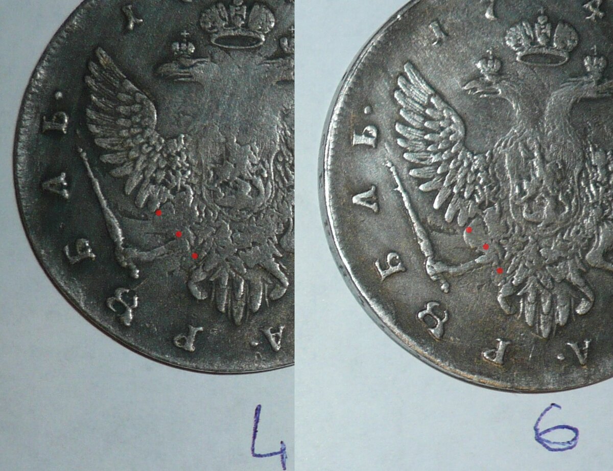 цукпа.jpg