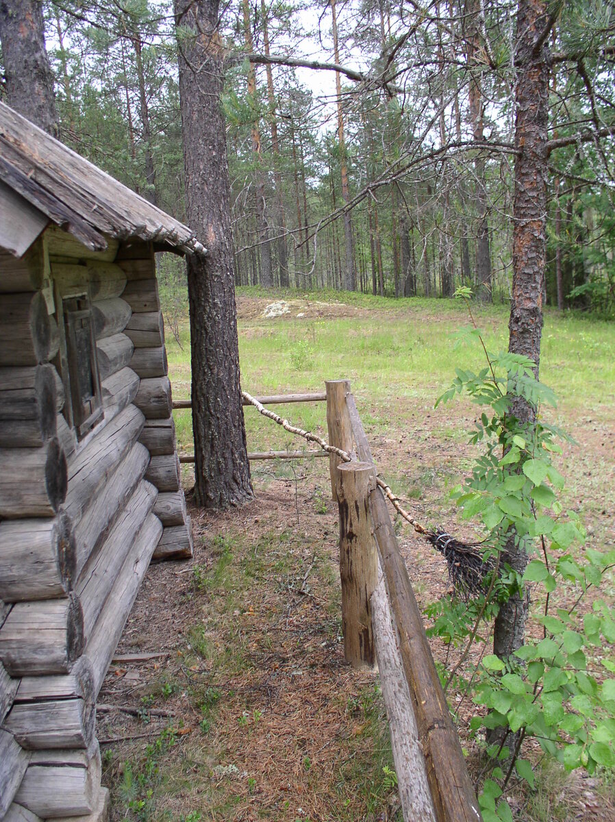 P1010010.JPG