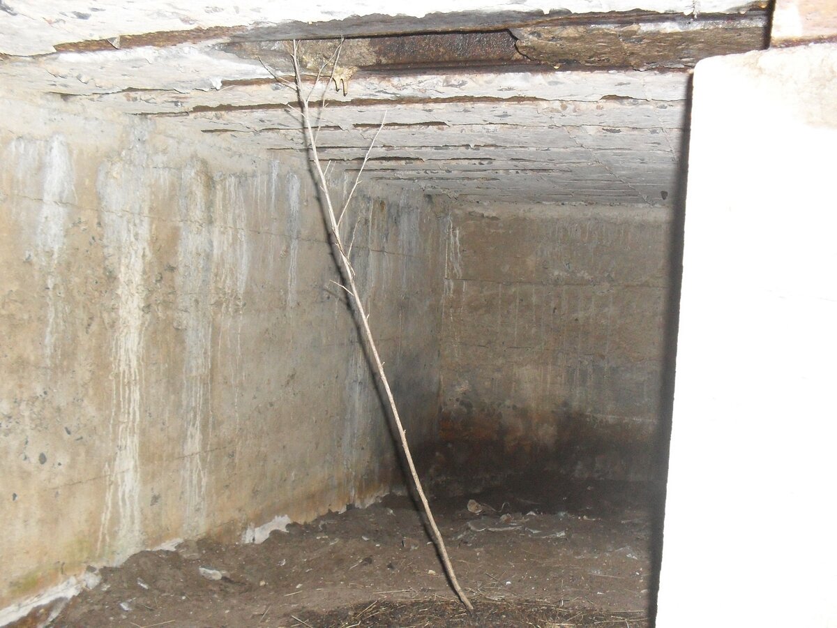 SDC13504.JPG