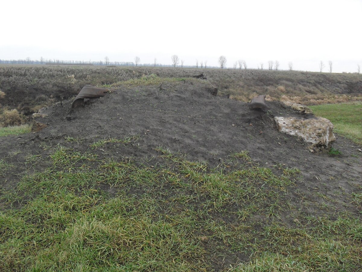 SDC13506.JPG