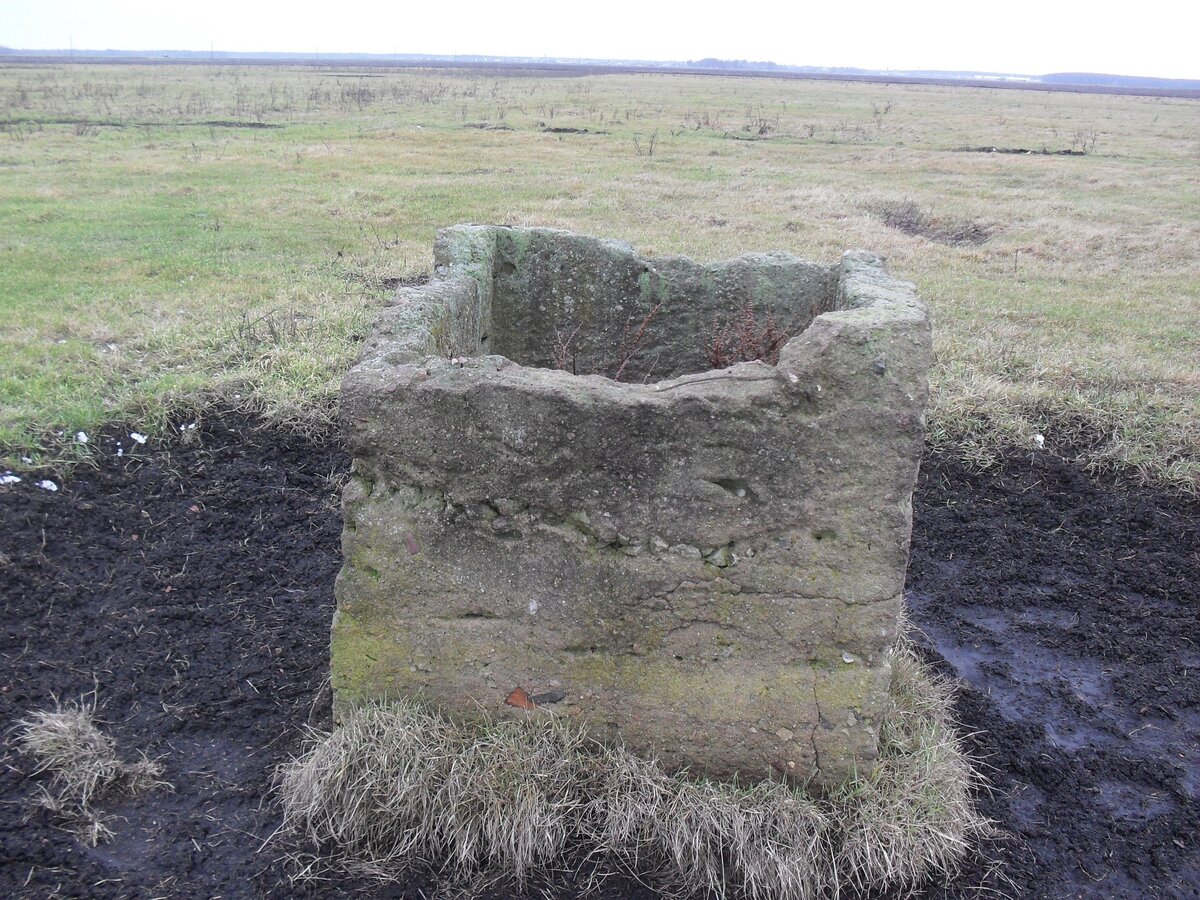 SDC13514.JPG