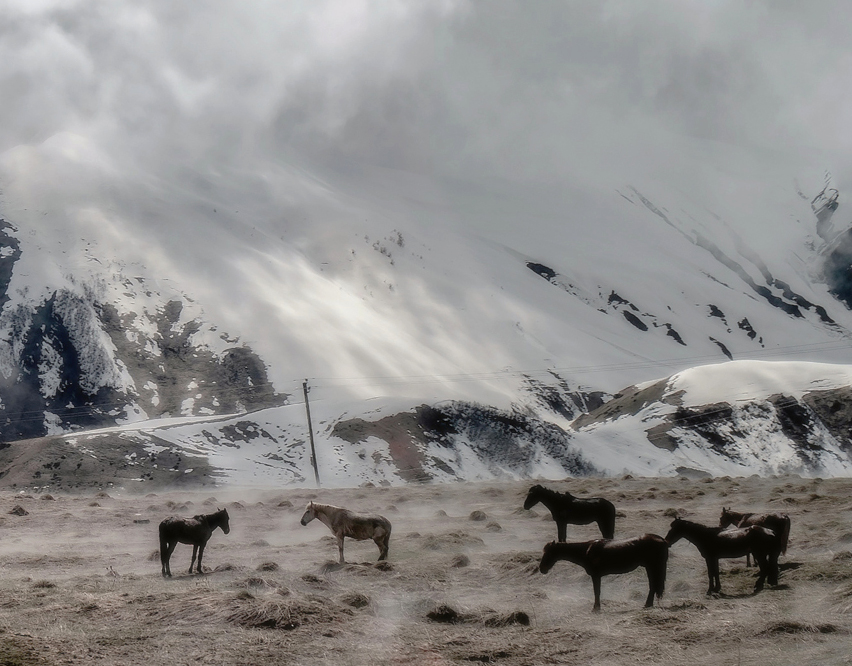 20150504-20150504-DSCF5218-Exposure копия-Exposure копия.jpg