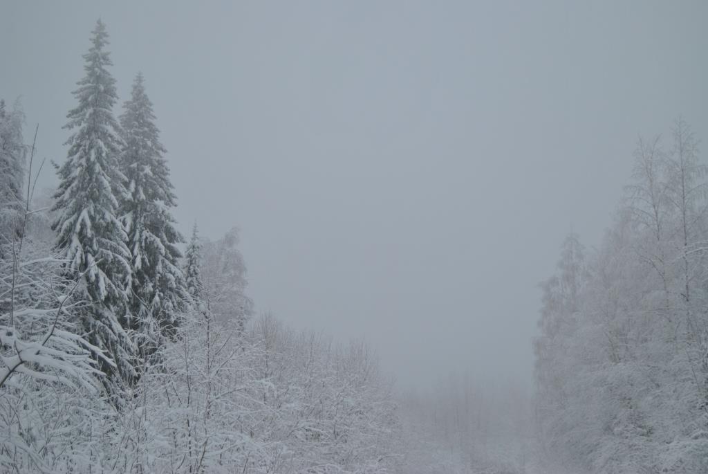 DSC_1174.JPG