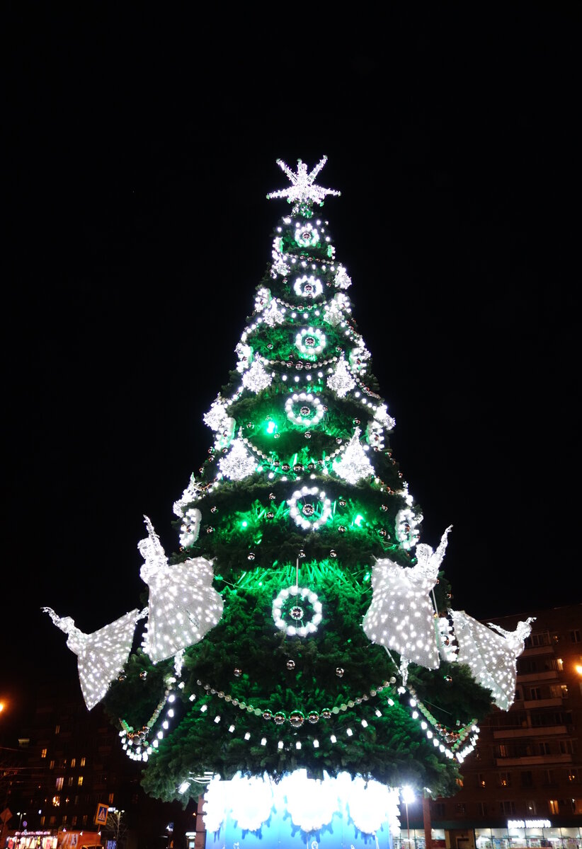DSC00933.JPG