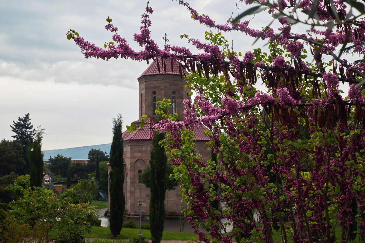 DSCF4623 1 копия.jpg