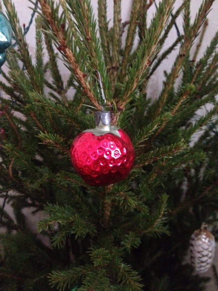 image-04-01-16-21_08-6.jpeg