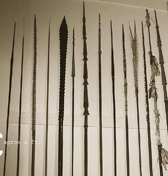 Bishop museum clubs spears_opt.jpg